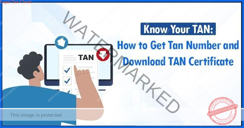 TAN New Application for Non Government